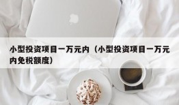 小型投资项目一万元内（小型投资项目一万元内免税额度）