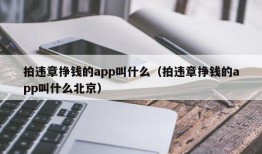 拍违章挣钱的app叫什么（拍违章挣钱的app叫什么北京）