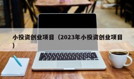 小投资创业项目（2023年小投资创业项目）