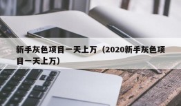 新手灰色项目一天上万（2020新手灰色项目一天上万）